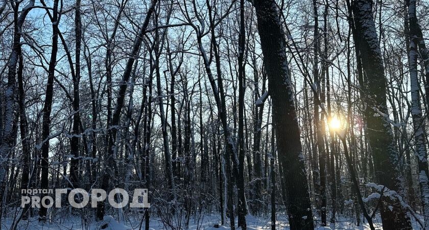    Фото редакции