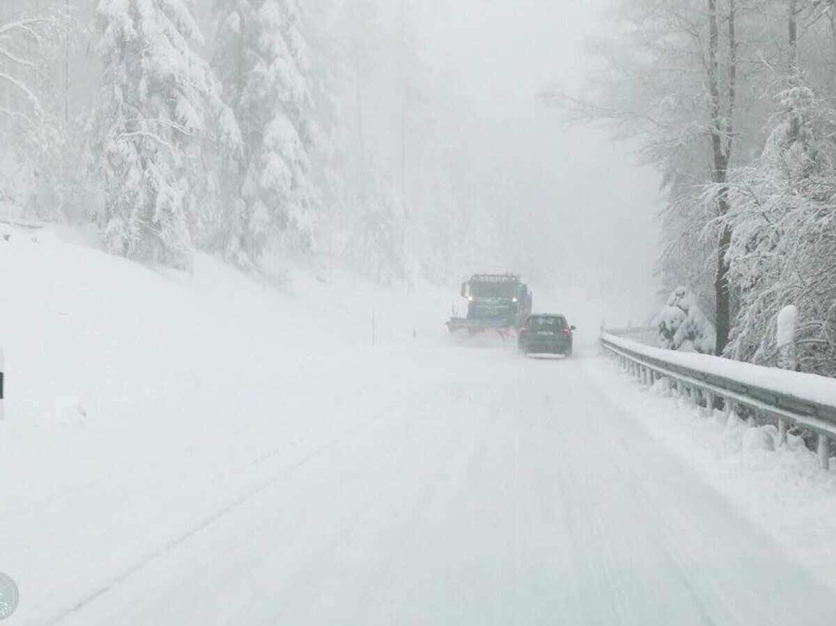    Снегопад в Германии. 20 апреля 2024 | © Фото : соцсети