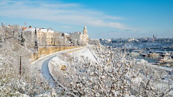    © Telegram Михаил Развожаев