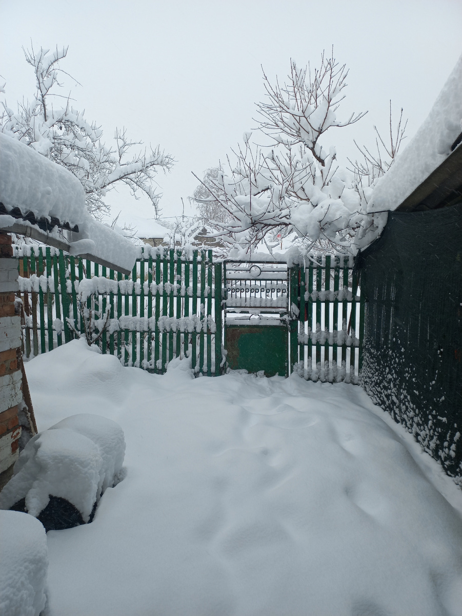 Дождались снега😅мноооого снега