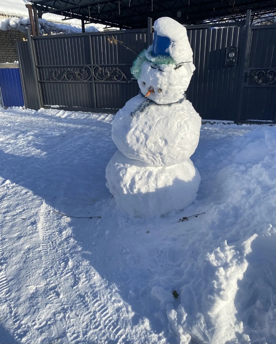 Снеговик соседей.