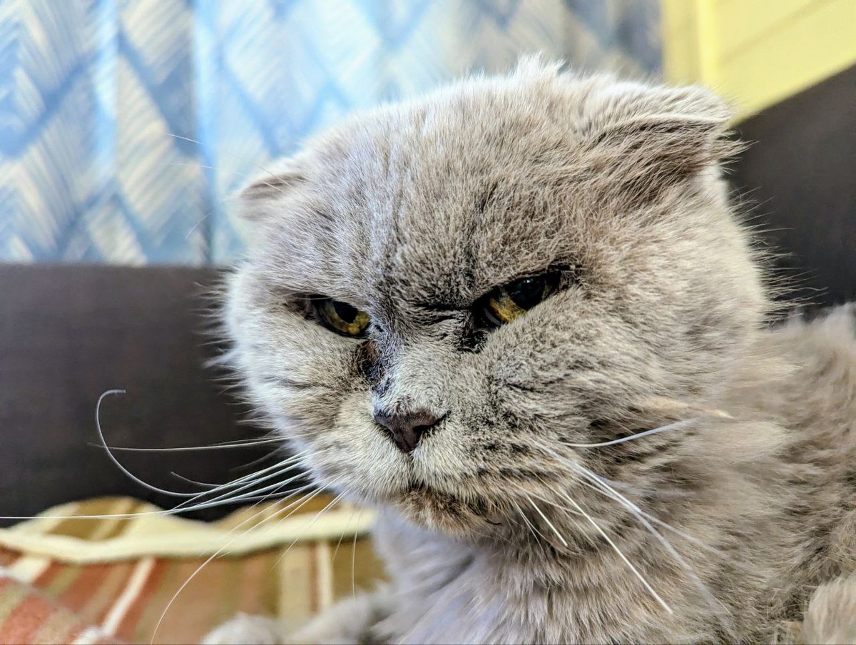 Именинница