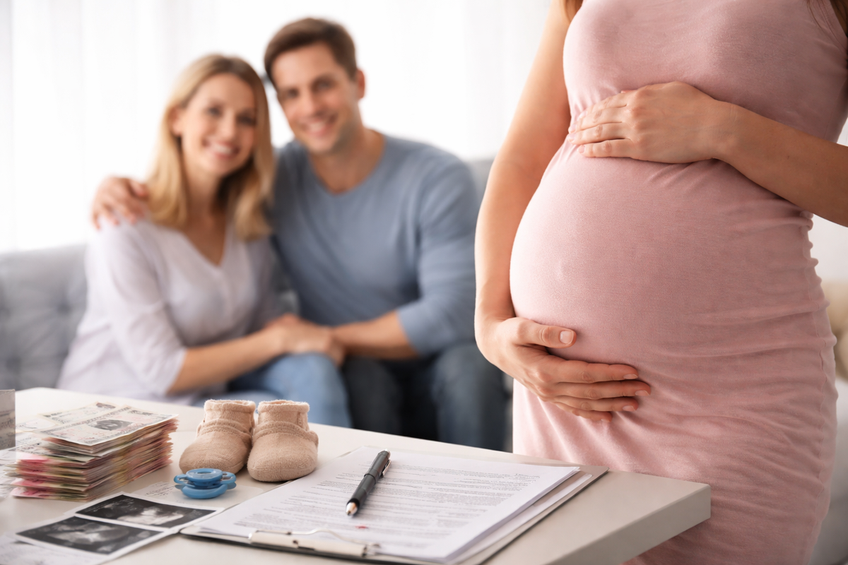 Полная программа суррогатного материнства складывается из нескольких крупных блоков расходов.