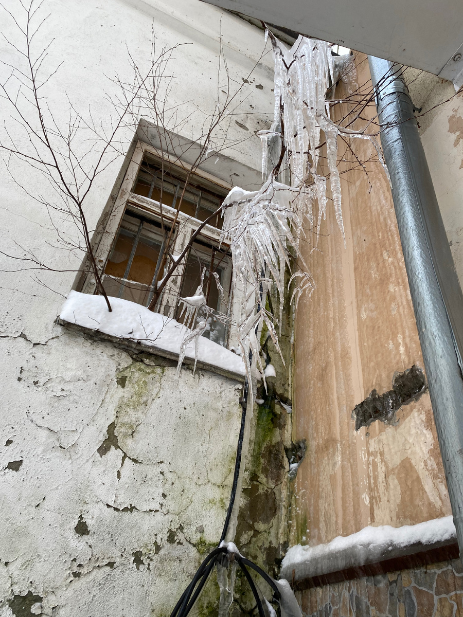 Сосульки-птицы