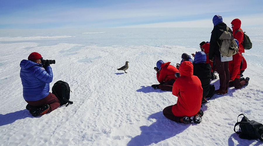    © Пресс-служба Мэра и Правительства Москвы 
