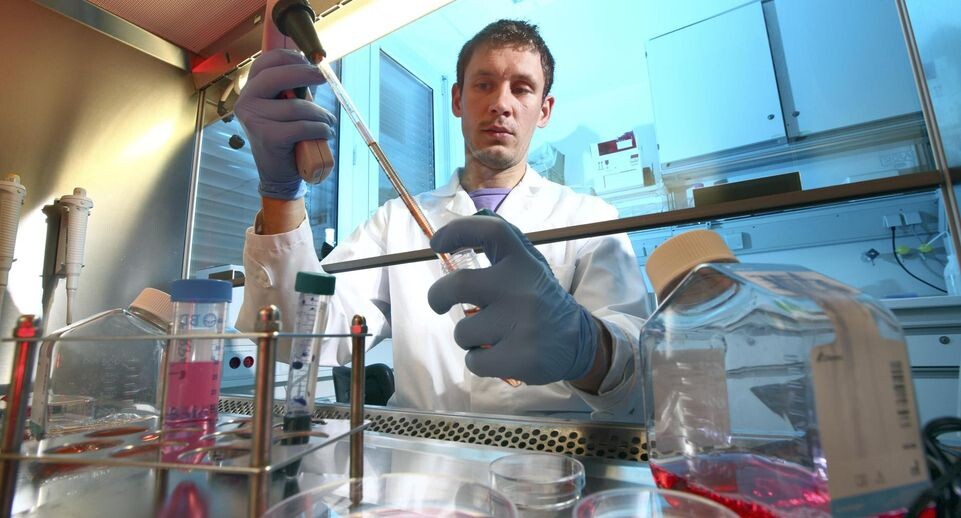    Jochen Tack/imageBROKER.com / www.globallookpress.com