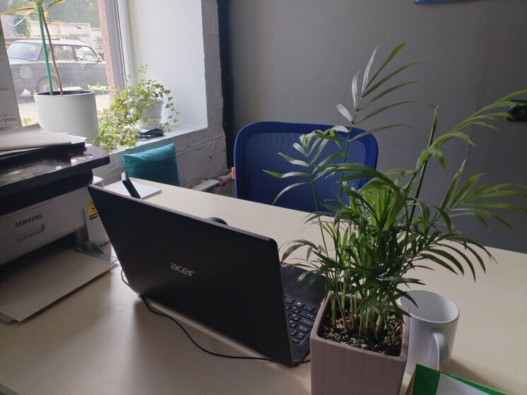     Фото: архив МК в Калининграде.