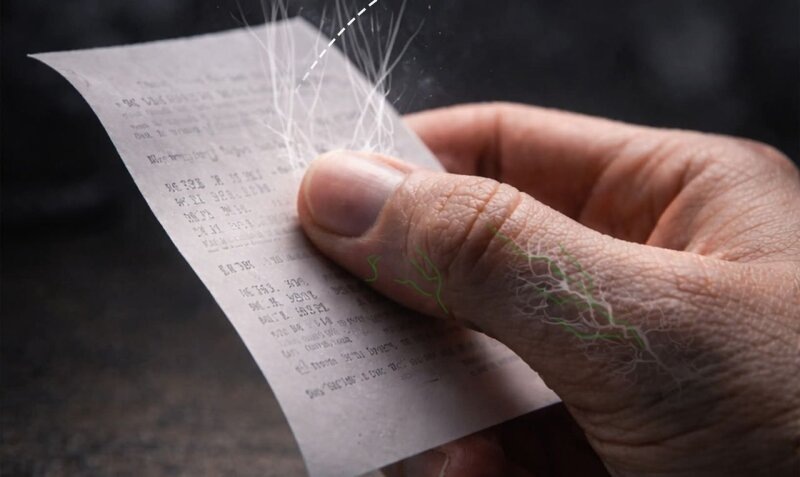    Кассовый чек. Фото: Социальные сети.