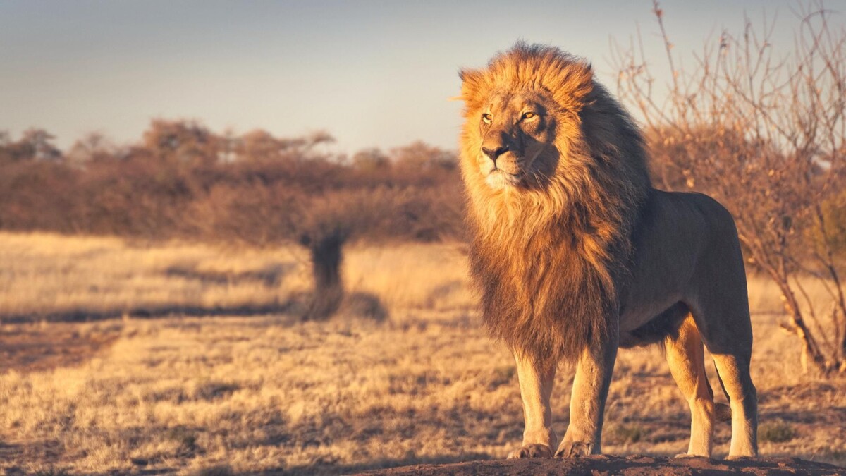 Источник: https://clck.ru/3RDSPs