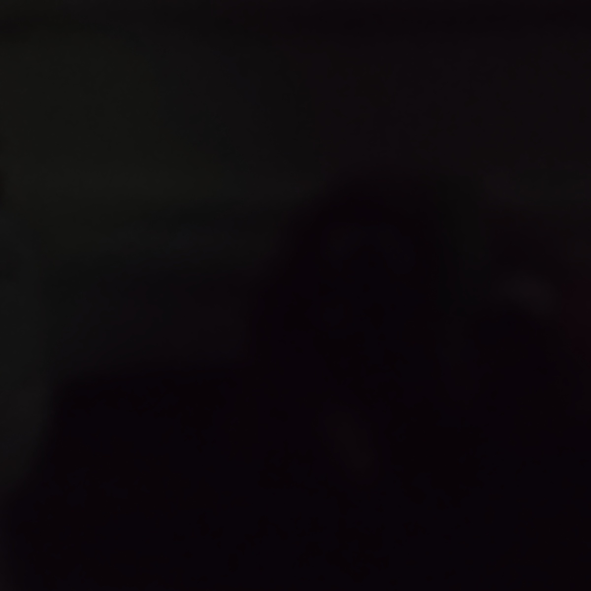 (можно осветлить)