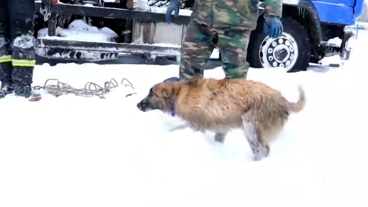    Первый канал