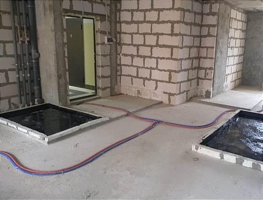 Фотография из свободного доступа 