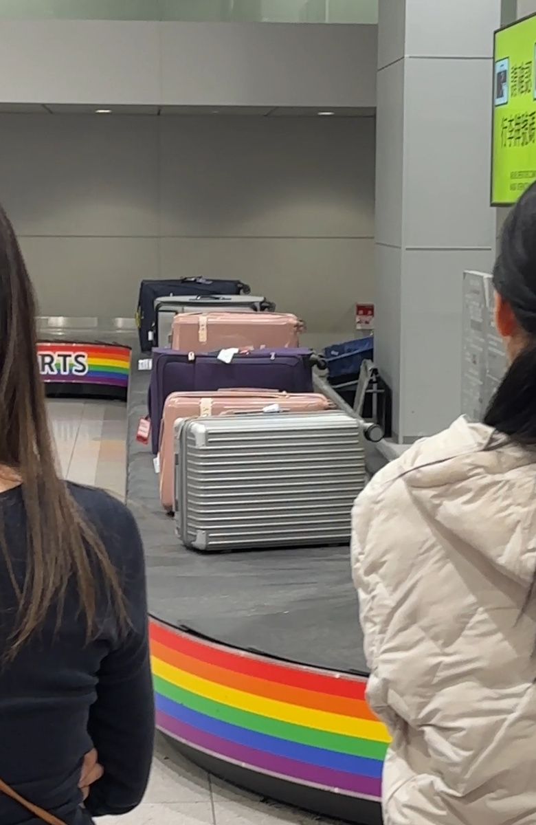 Получение багажа - отдельный вид наслаждения