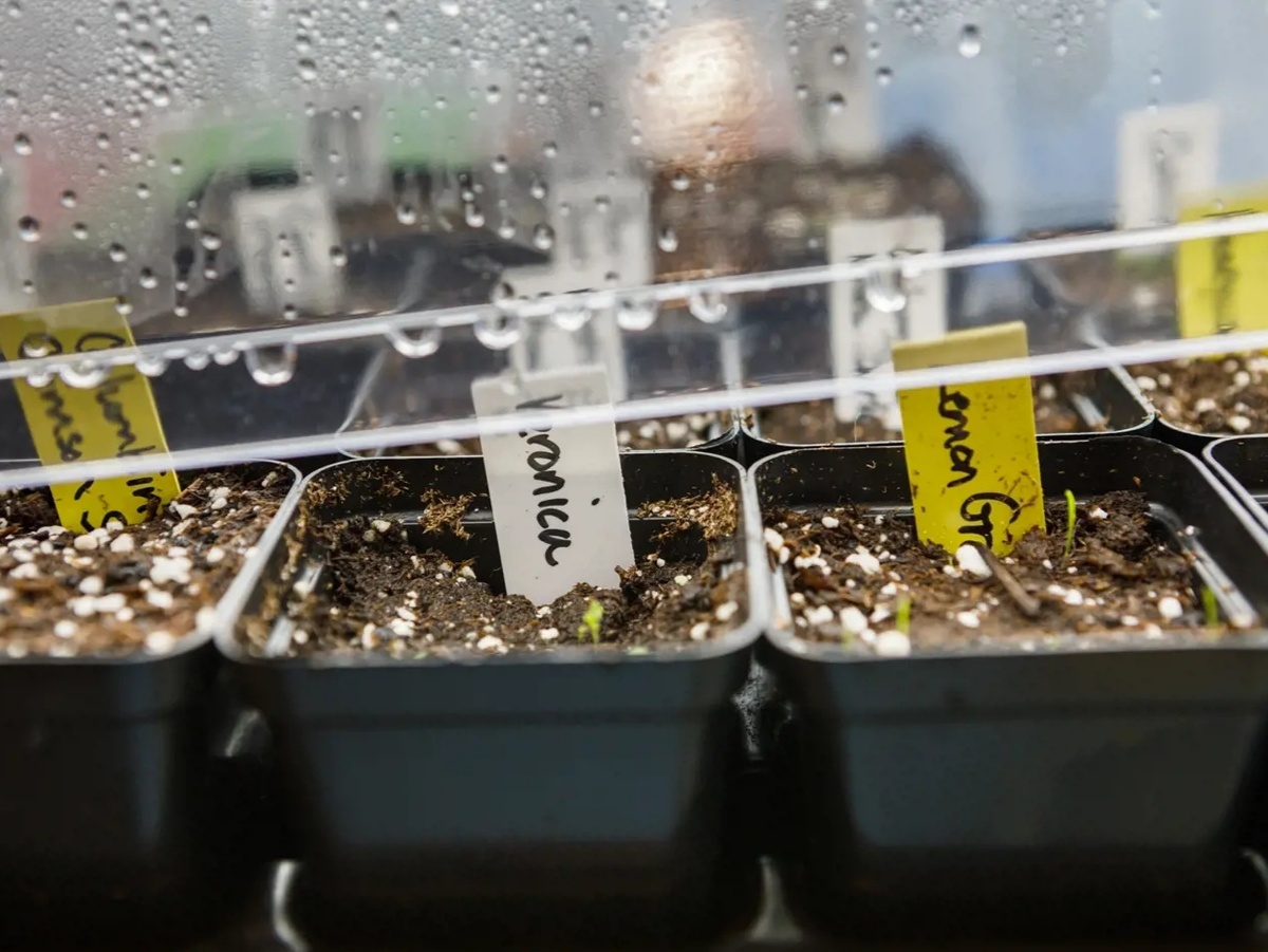 Фото: eurobanks, shutterstock.com