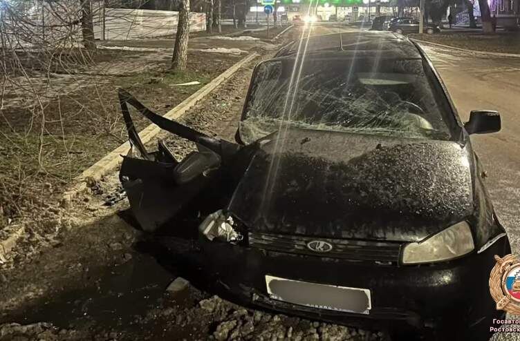    Фото: телеграм-канал управления Госавтоинспекции по Ростовской области © Веселовские вести