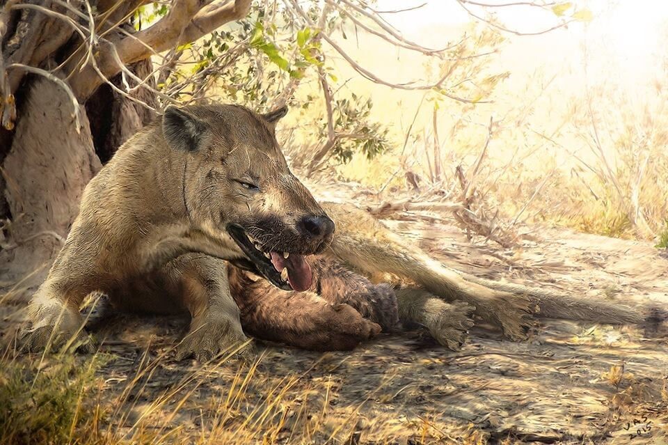 Из открытых источников