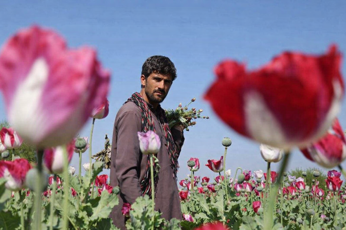 Афганистан – мировой поставщик героина