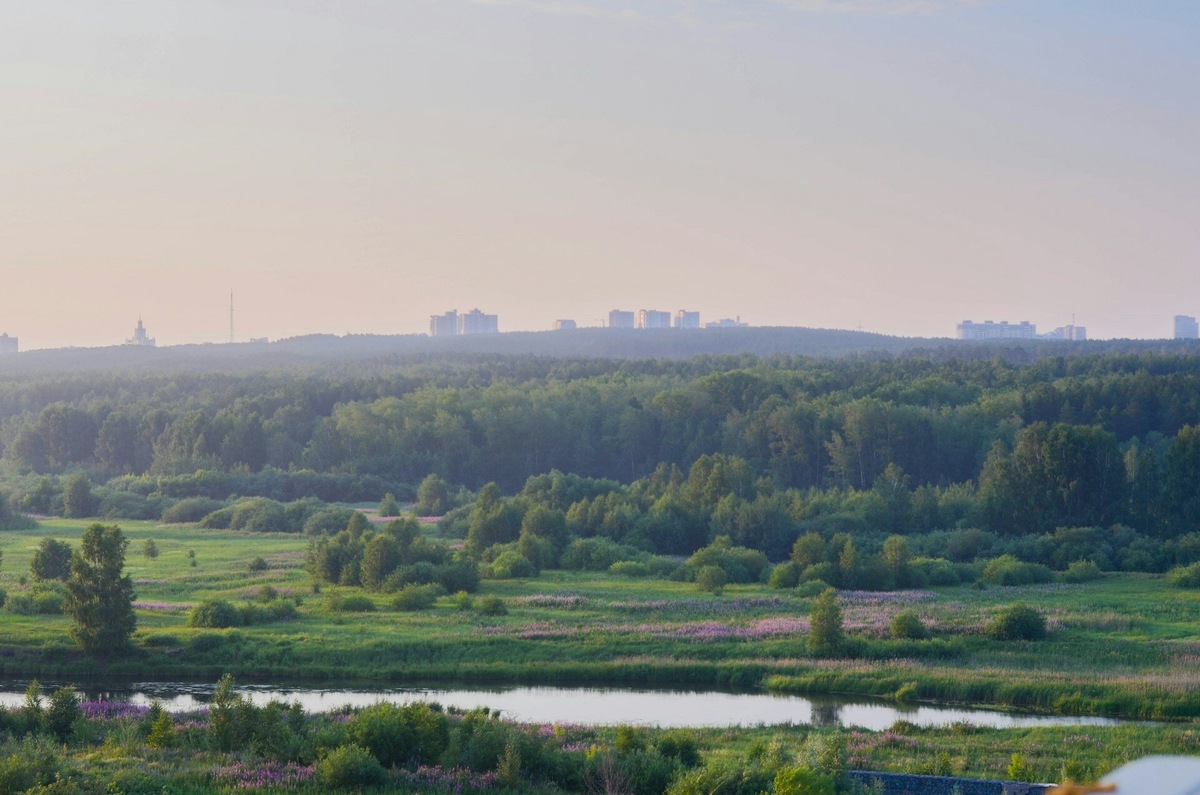 Организация даже признала столицу Южного Урала самым чистым городом России в 2024 году. Фото: Danil Moiseev / Unsplash