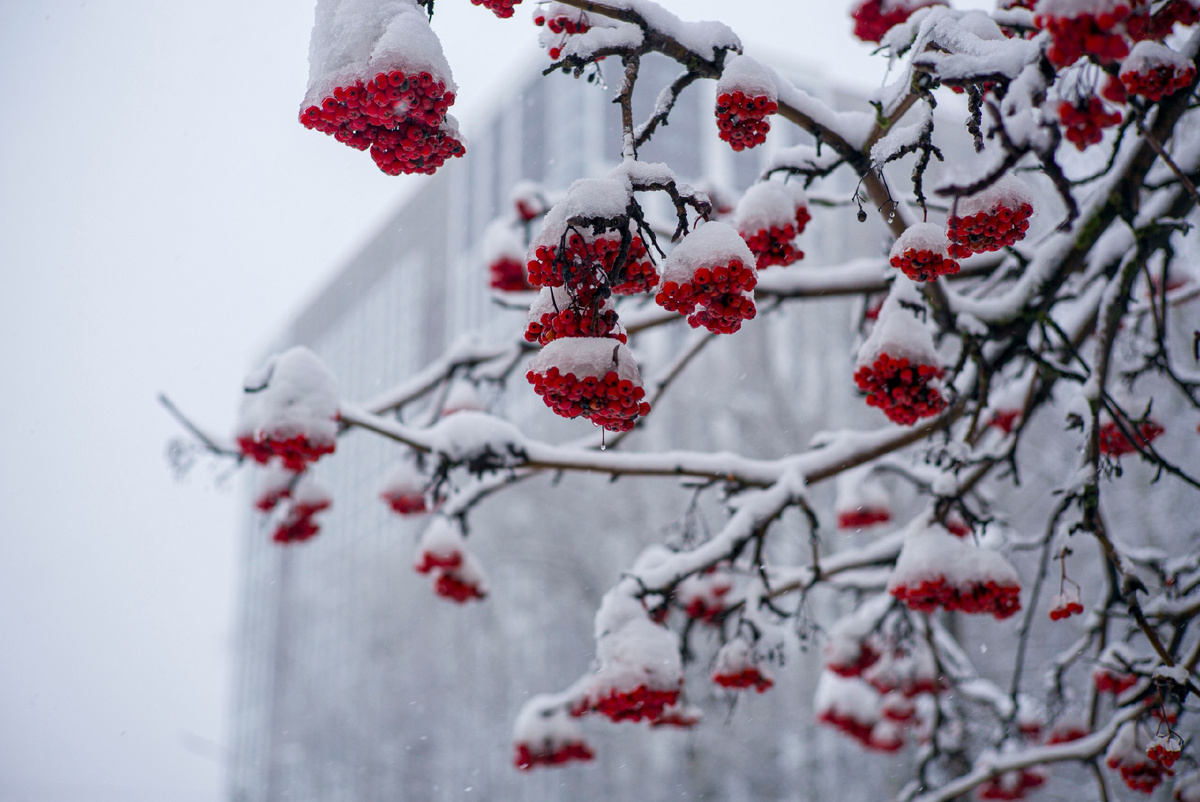 Фото: Александр Панов.