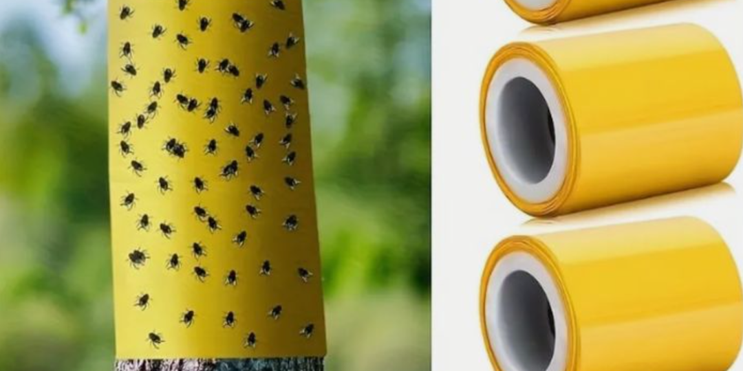 Как сделать клеевой барьер против вредителей плодовых деревьев