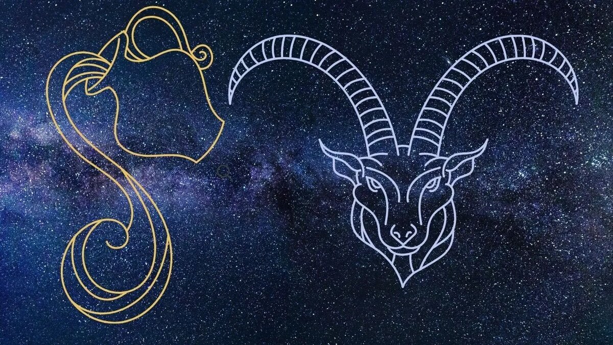 Фото из открытого источника