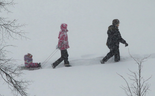    © Baltphoto/ Андрей Пронин