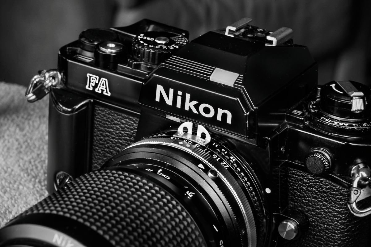 Фото автора. Фото не от ИИ.