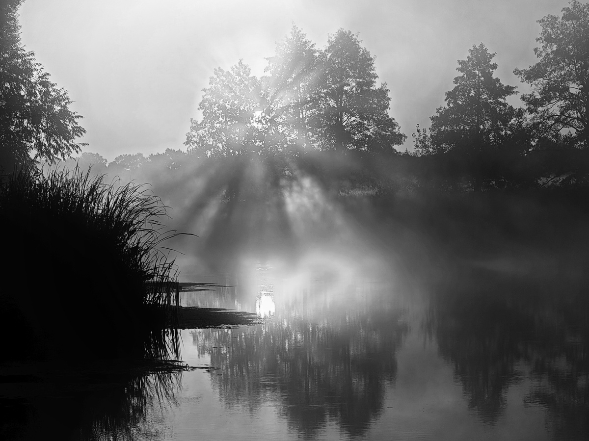 Фото автора. Фото к ИИ не имеет отношения.