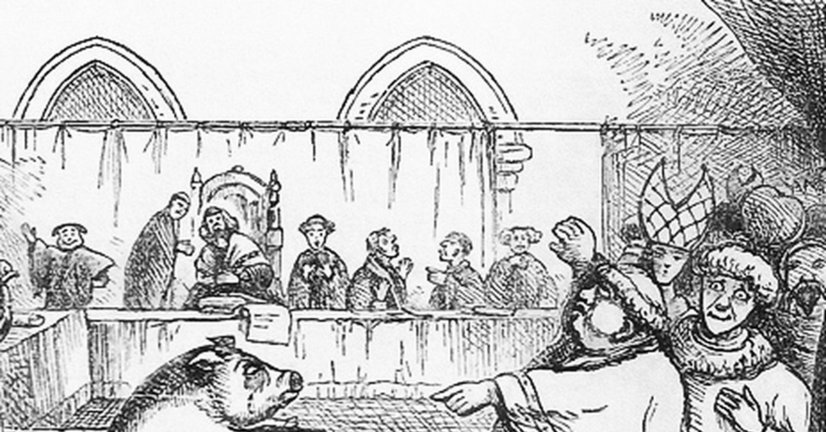 Свинья в суде. Источник: Яндекс картинки