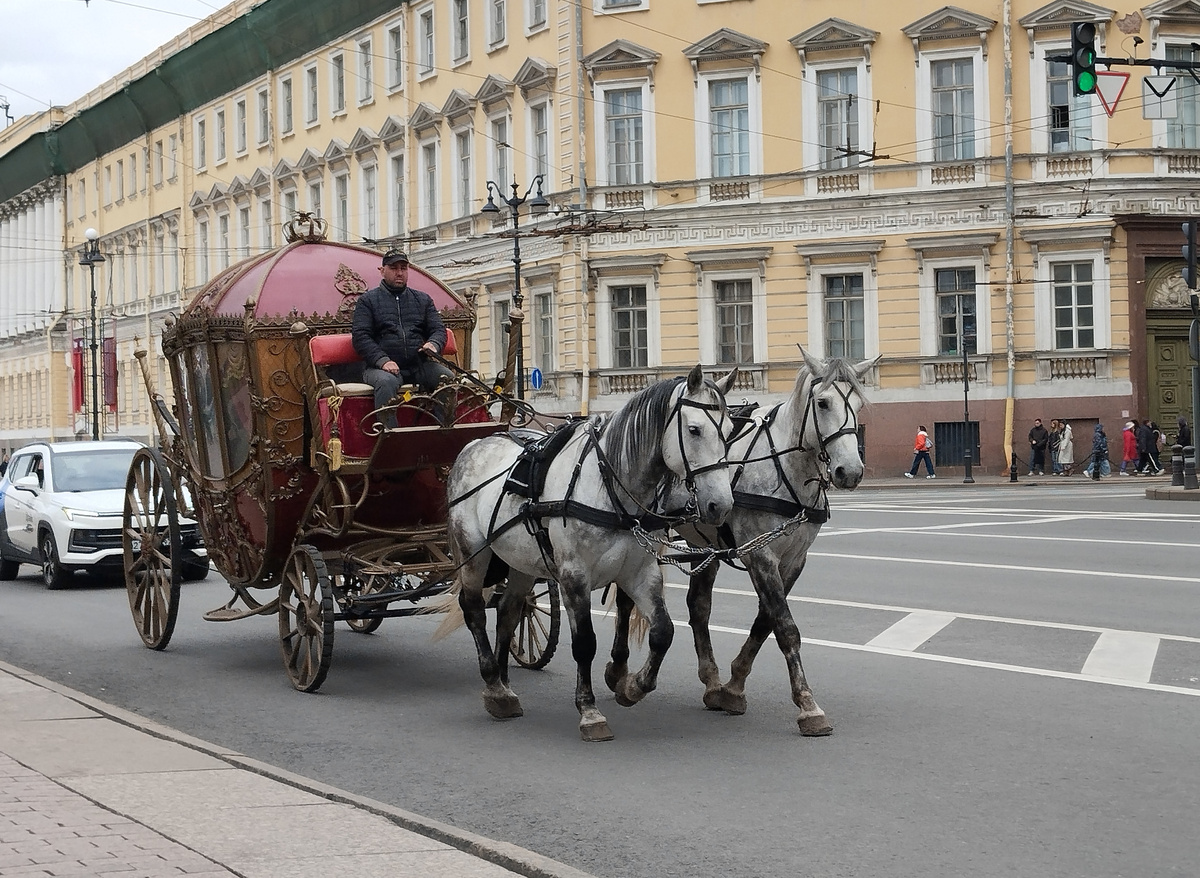 Конные экипажи на улицах Петербурга