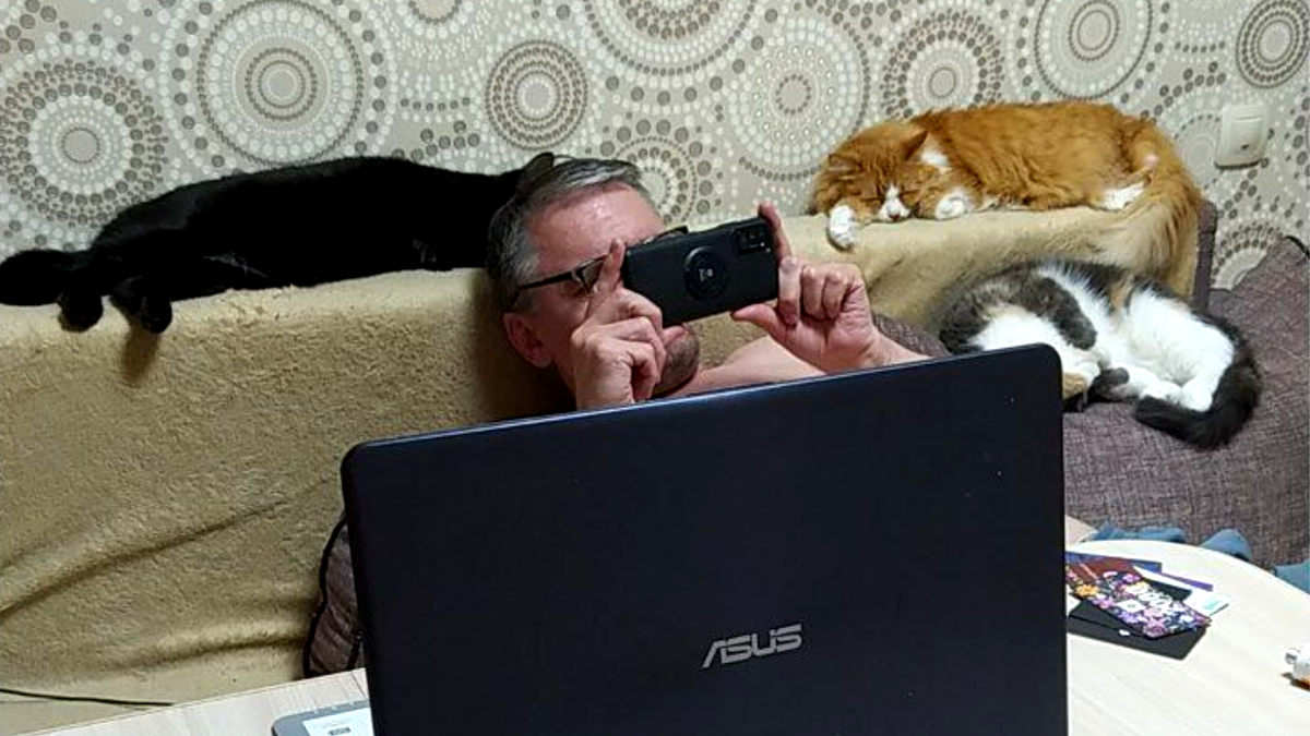 Происходит процедура обмурчания человека. P.S. На телефоне тоже котики