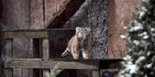    Фото: Е. Самарина. Mos.ru