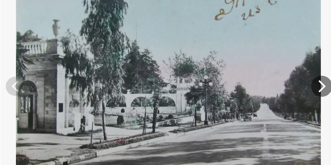 Борьба директора Бреннера за единый "Дендрарий"