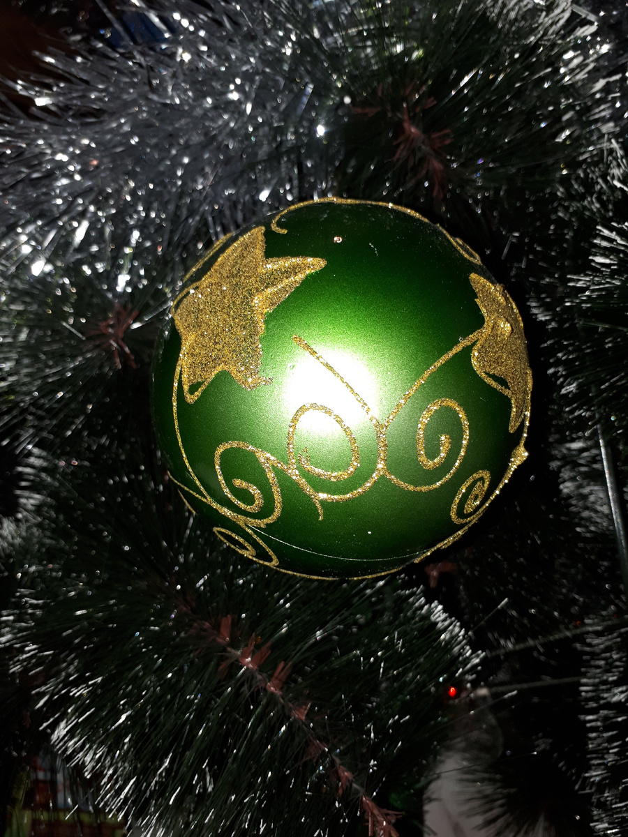 Фото автора 10.01.2026г.