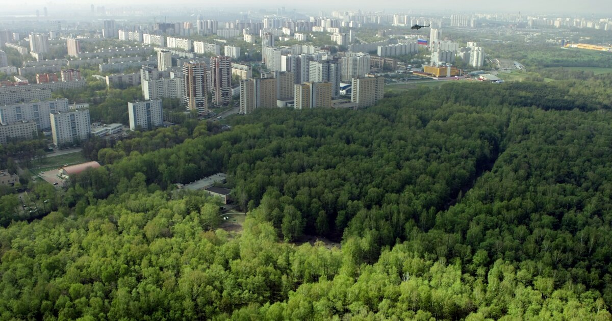 Москва, Северное Тушино