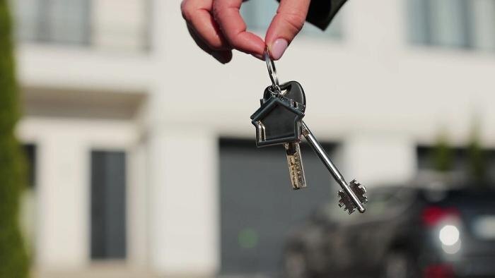 Обложка © Shutterstock / FOTODOM / AlpakaVideo