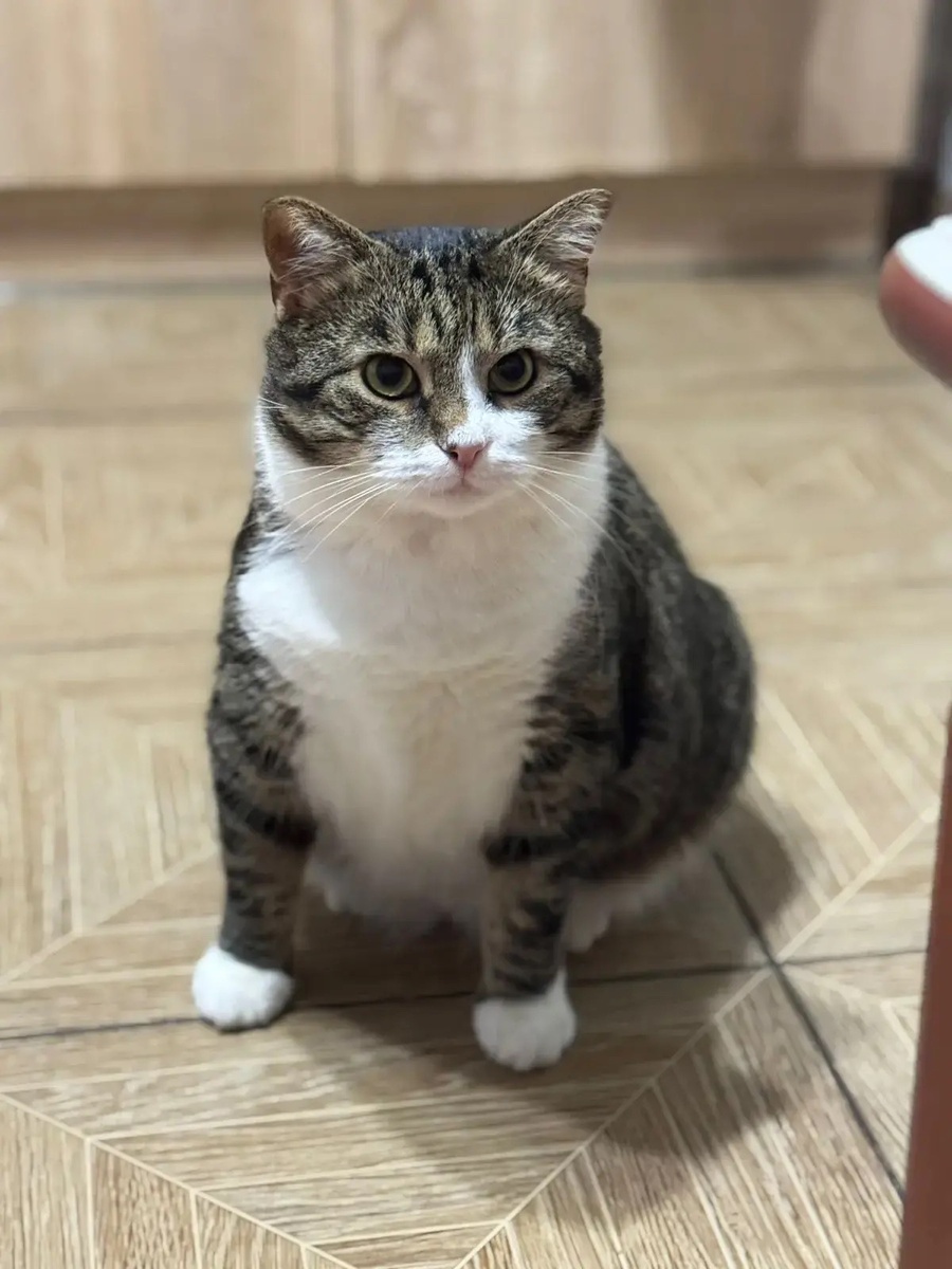 Всем большой приветик от меня) 😍🧡