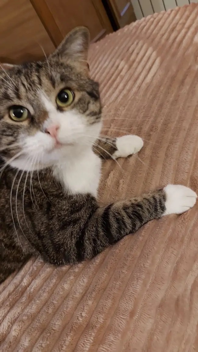 Я Клим-Мишка вытянул свой счстливый билетик 😽💞