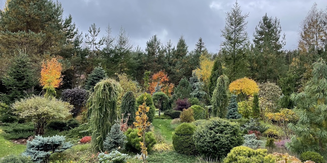 Не для моего сада: чего я не хочу видеть в своём ландшафте