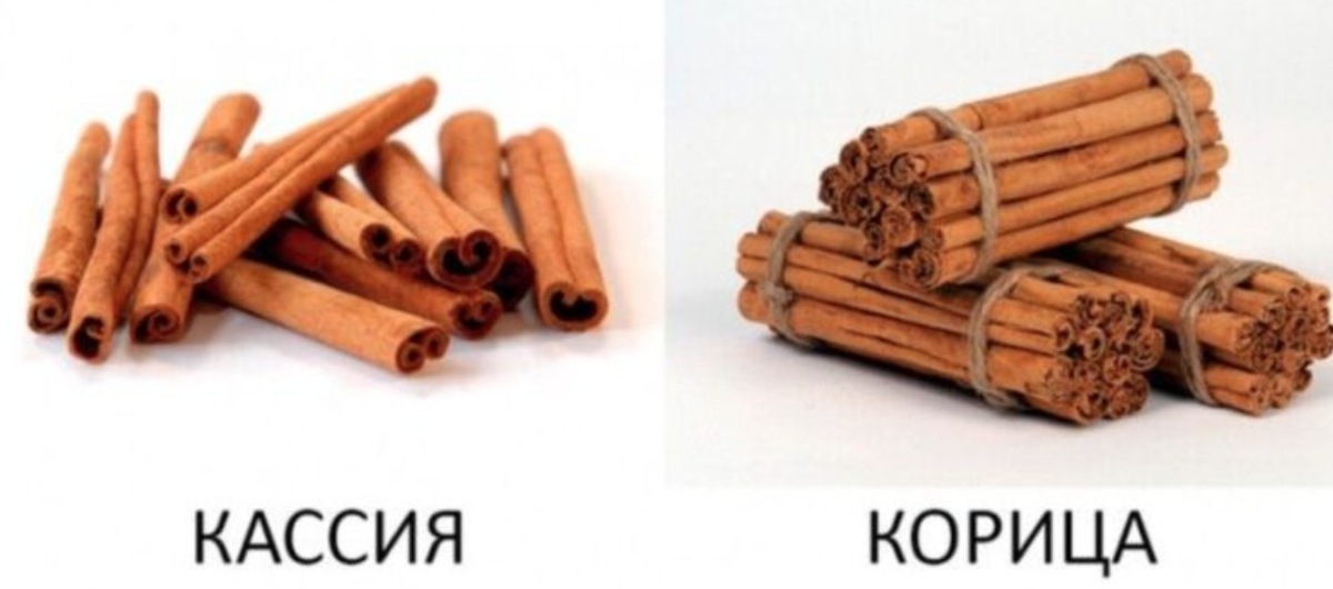   Кассия и настоящая корица. Источник изображения: pinterest.com