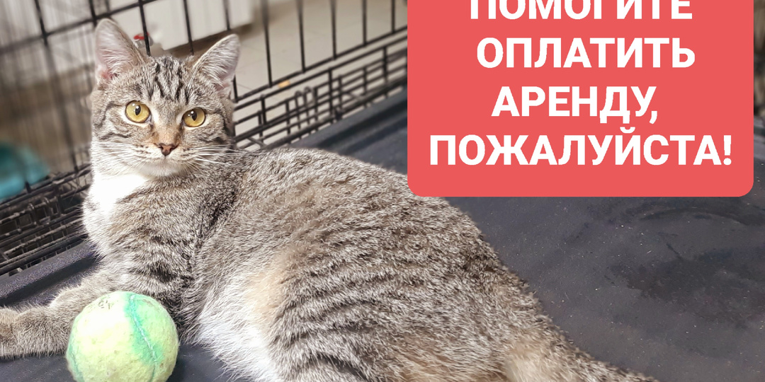 Аренда 55000+ 9200 не собрано ничего. Клиника Бакса. Нет оплаты 2 дня.