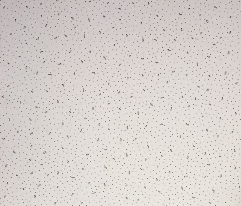 Ангара, Потолочные Решения, opt-potolok.ru