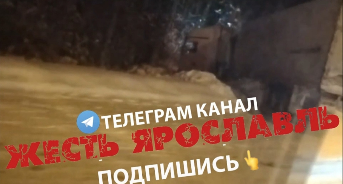    Жесть Ярославль