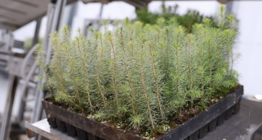    Фото: пресс-служба Правительства области