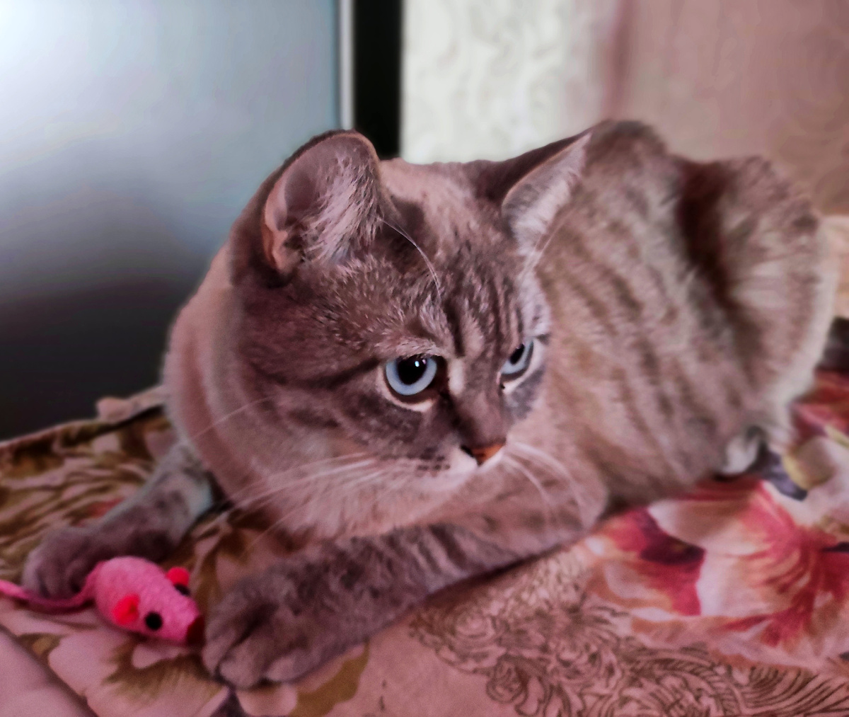 Утро с Соней 