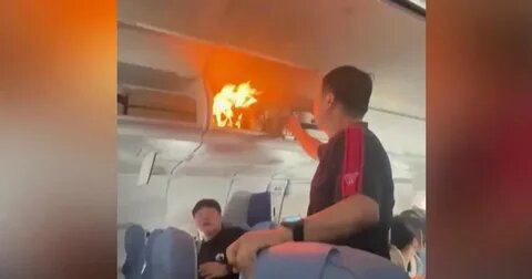    Фото: открытый источник