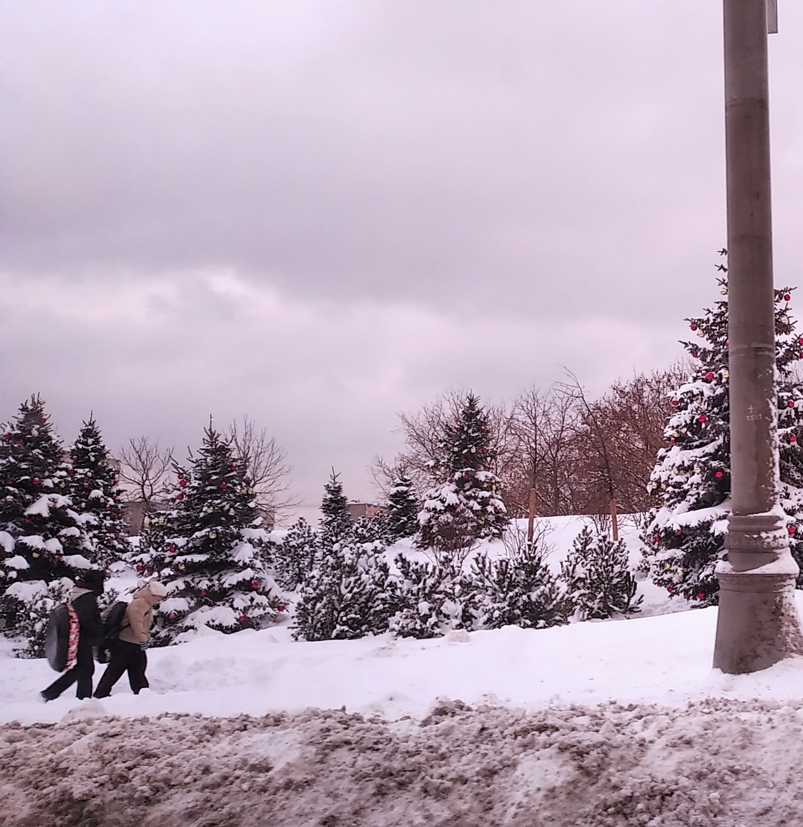 Замело Москву 