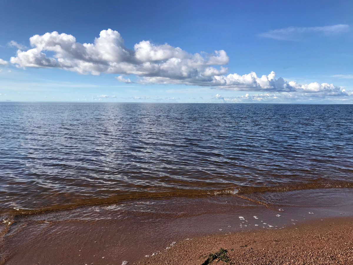 Финский залив 