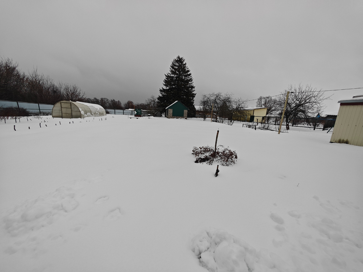 Фото автора канала 