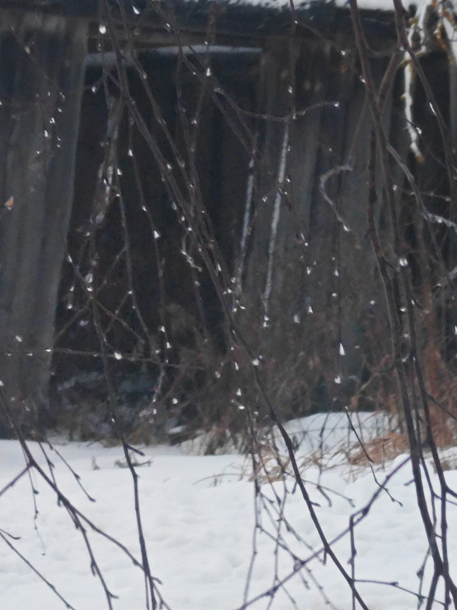 Фото автора канала 